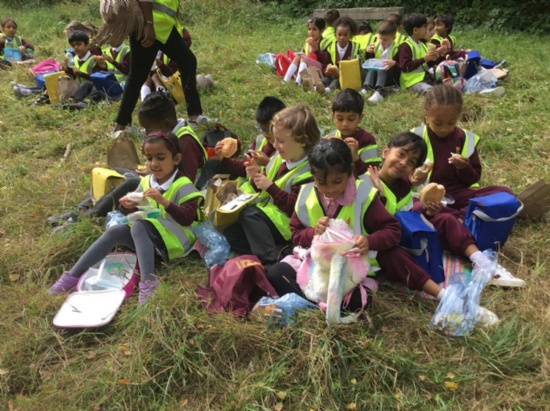 Y2 visit local Foxley Woods